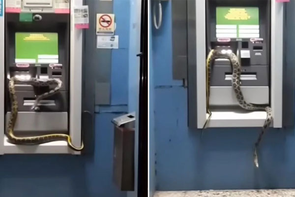 Người đàn ông lương 10 triệu đồng nhưng đi chơi bằng máy bay phản lực: 4 năm sau ra đầu thú, tiết lộ chiêu thức chiếm đoạt hơn 24 tỷ đồng-4