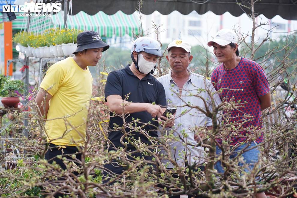 TP.HCM: Tấp nập mua bán xuyên đêm ở chợ hoa Trên bên dưới thuyền-3