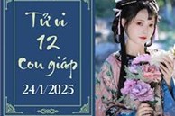 Tử vi 12 con giáp hôm nay ngày 24/1/2025: Tỵ tiêu cực, Mùi thuận lợi