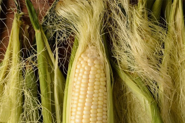 Những dấu hiệu cảnh báo gan đang cần giải độc-2