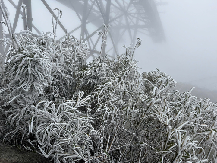 Nhiệt độ xuống -2°C, tuyết rơi dày phủ trắng đỉnh Fansipan-1