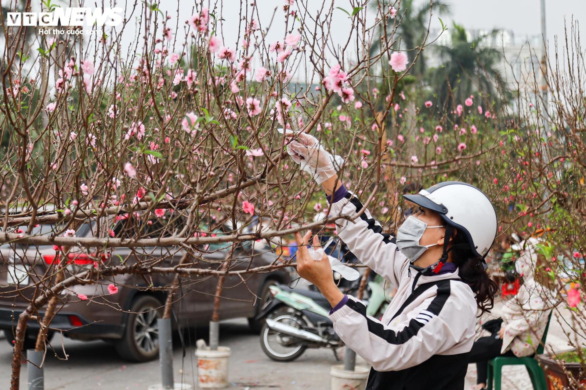 Người dân nô nức sắm Tết, sắc đào nhuộm thắm chợ hoa Hà Nội-15