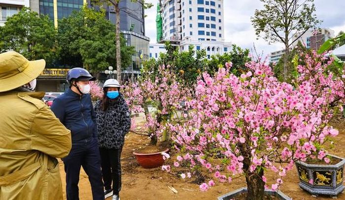 Đào bung nở khắp phố dưới mưa rét, tiểu thương cắn răng xả lỗ-6