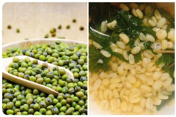 Một ngày nên uống bao nhiêu nước tía tô?-2