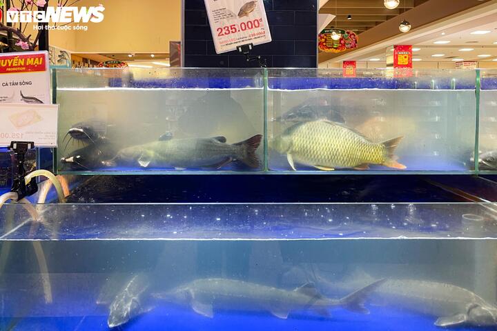 Siêu thị lại đầy ắp hàng hóa sau kỳ nghỉ Tết Nguyên đán Ất Tỵ-8