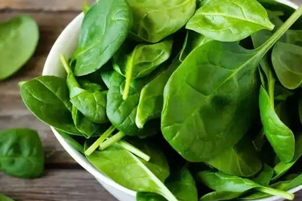 Tác hại của bắp cải nếu bạn ăn quá nhiều-2