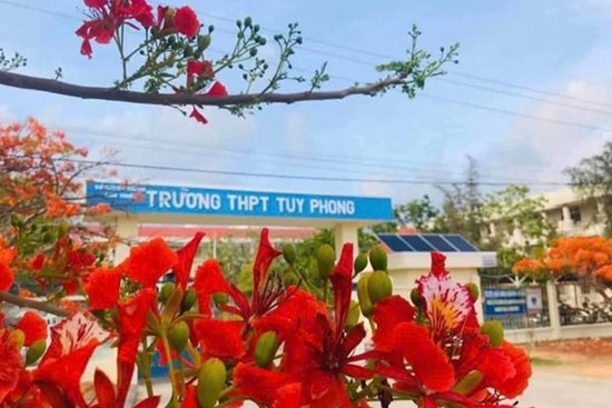 Làm rõ thông tin thầy giáo cấp 3 