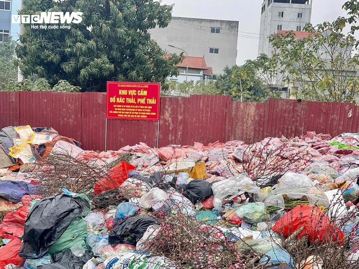 Kinh hoàng cảnh núi bánh kẹo lạ bị xả thải giữa làng ngay sau Tết Nguyên đán-3