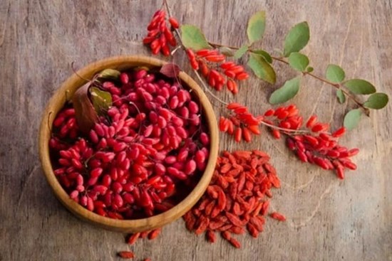 Việt Nam có vị thuốc quý ví như