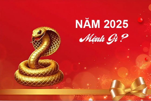 Năm 2025 mệnh gì, hợp với tuổi nào, đâu là màu sắc mang lại may mắn?-1