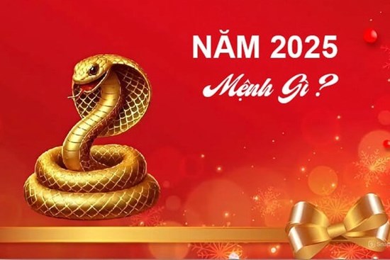 Năm 2025 mệnh gì, hợp với tuổi nào, đâu là màu sắc mang lại may mắn?