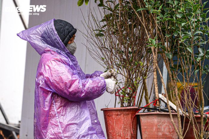 Người lao động ở Hà Nội trùm áo mưa, run rẩy mưu sinh trong giá rét 12°C-7