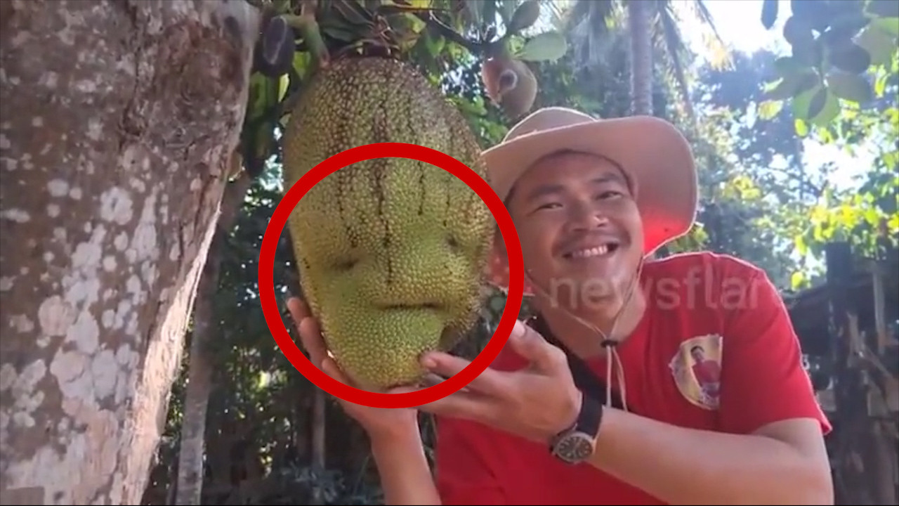 Đổ xô chụp ảnh, thắp hương cúng lạy quả mít hình mặt người-1