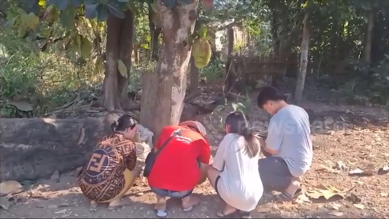 Đổ xô chụp ảnh, thắp hương cúng lạy quả mít hình mặt người-2