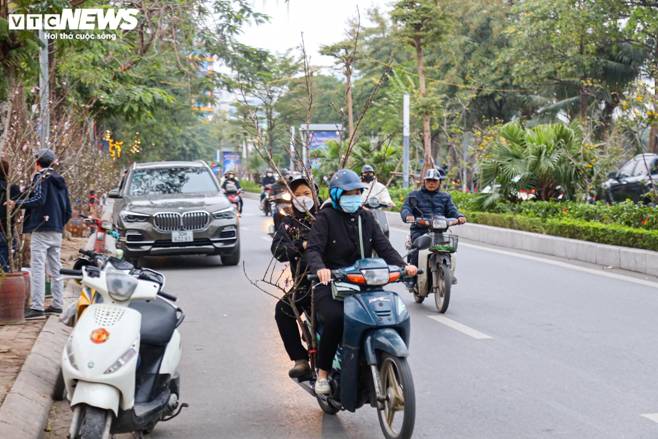 Hết Tết, người Hà Nội vẫn chi tiền triệu mua đào, lê rừng Tây Bắc-17