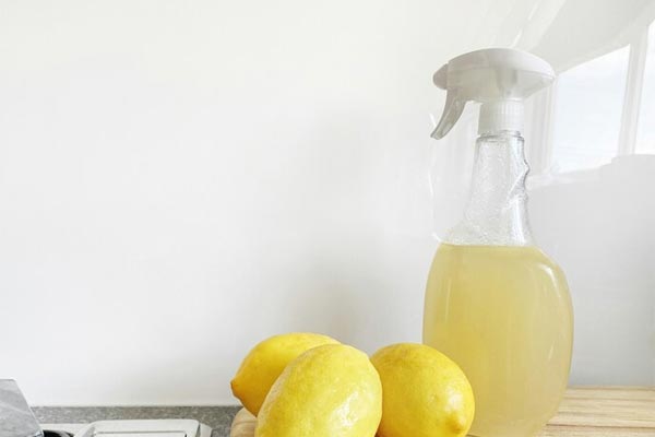 Cách bảo quản bưởi Diễn-2