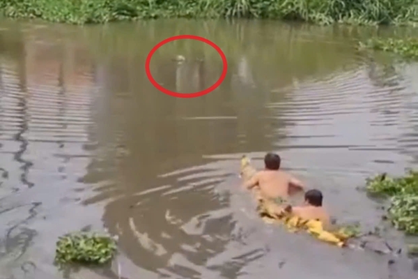 Từ Bình Định ra thăm vợ ở Quảng Bình, người đàn ông đòi nhảy cầu tự tử-3