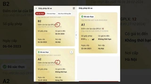 Cảnh báo hình thức lừa đảo mới: Cài đặt 12 điểm giấy phép lái xe trên dịch vụ công-1