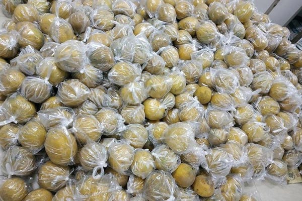 Mẹo chọn cá nục tươi ngon-3