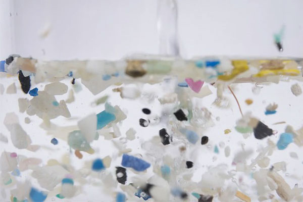 Kiểu uống nước khiến hạt vi nhựa tích tụ trong não, gan, thận, là đồng phạm” của tế bào ung thư-4