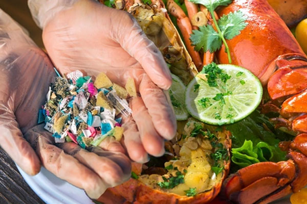 1 loại nước chứa hàng tỷ hạt vi nhựa nhưng nhiều người Việt vẫn uống mỗi ngày mà không biết mối nguy hại-3