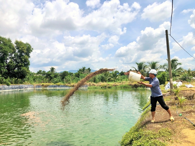 Nuôi loài vật chỉ ăn nhì nhằng, anh nông dân nhẹ nhàng kiếm 9 tỷ đồng-1