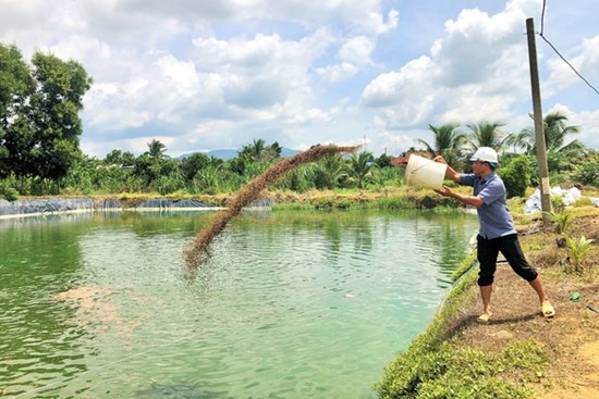 Nuôi loài vật chỉ ăn