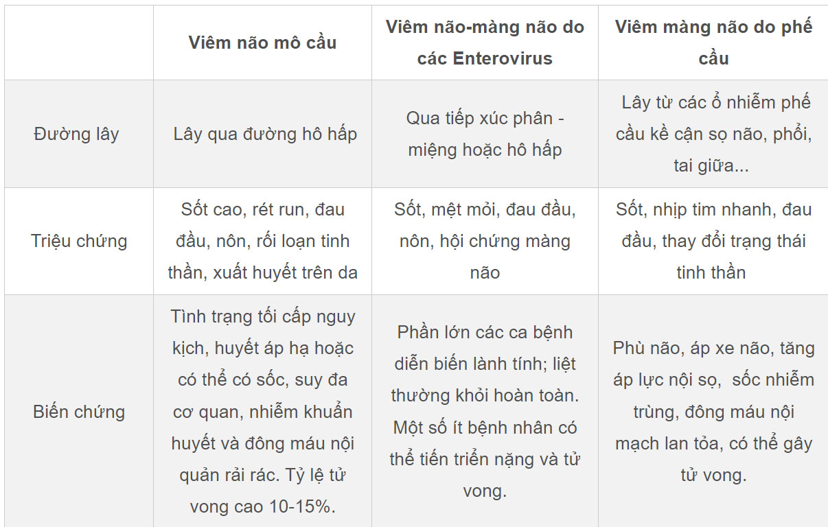 Mức độ nguy hiểm của viêm não mô cầu-2