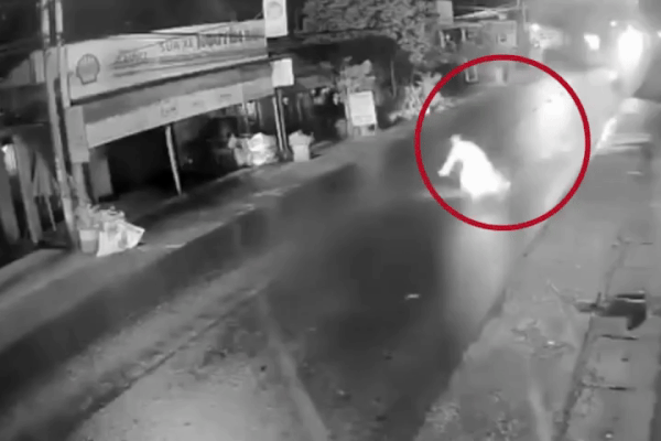 Hy hữu nam thanh niên nghi say thuốc lào ngã ra đường bị ô tô tông trúng-3