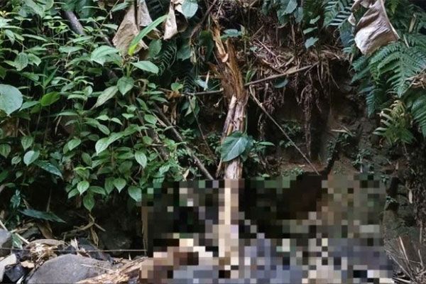 Phát hiện bộ xương người dưới suối khi đi bắt cá: Hiện trường có gì?-1