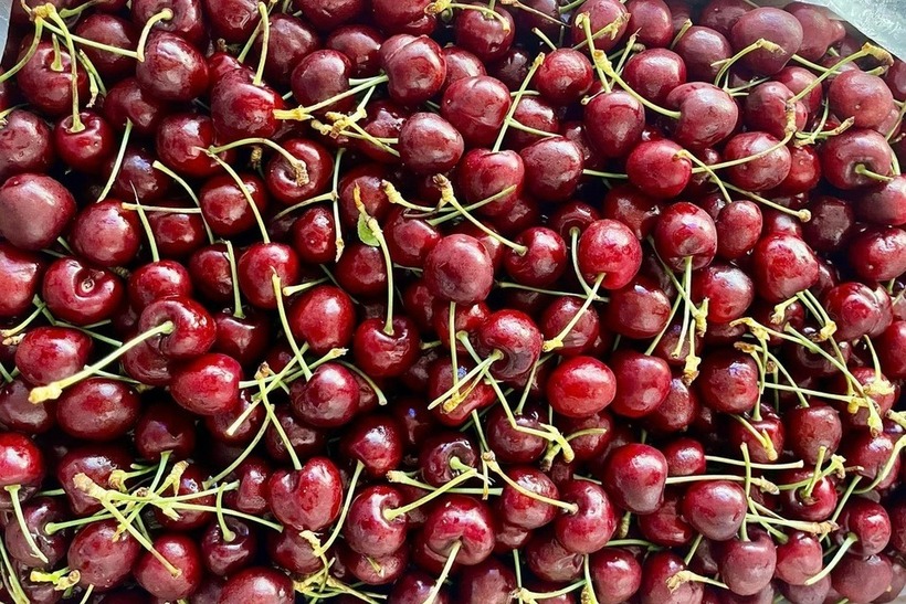 Cherry Chile giá sập sàn chỉ hơn 100.000 đồng/kg, dân tình đổ xô mua như trẩy hội-3