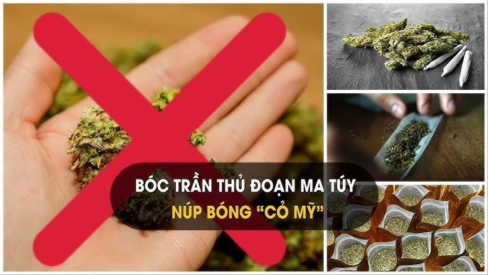 2 học sinh ở Thanh Hóa bị khởi tố vì mua bán, sử dụng cỏ Mỹ-1