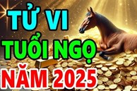 Dự báo tử vi tuổi Ngọ 2025 Ất Tỵ chi tiết từng tháng, từng tuổi