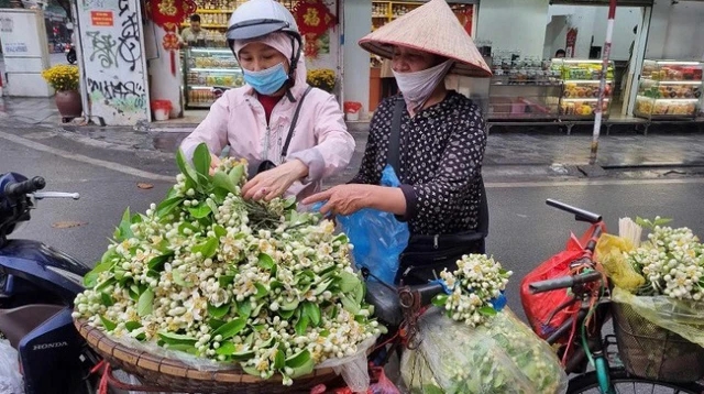 Bán hoa bưởi, thu nhập tiền triệu mỗi ngày-1