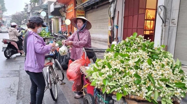 Bán hoa bưởi, thu nhập tiền triệu mỗi ngày-3