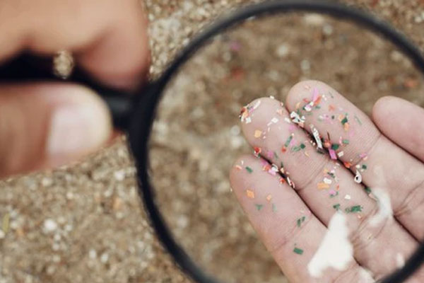 1 loại thực phẩm bổ dưỡng nhưng đầy hạt vi nhựa, cứ 10gram có 6 hạt: Nhiều người Việt vẫn mê mẩn trong bữa ăn-6