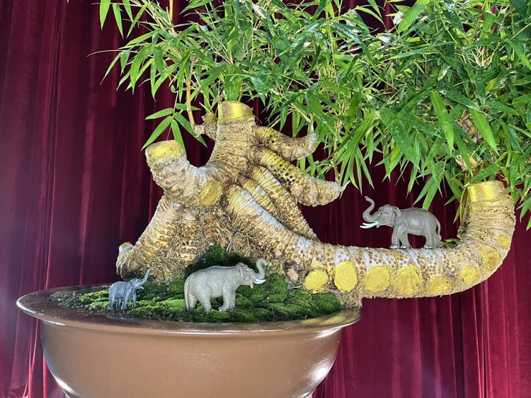 Loại cây quen thuộc mọc bờ bụi lên chậu thành bonsai có giá hàng trăm triệu đồng-9