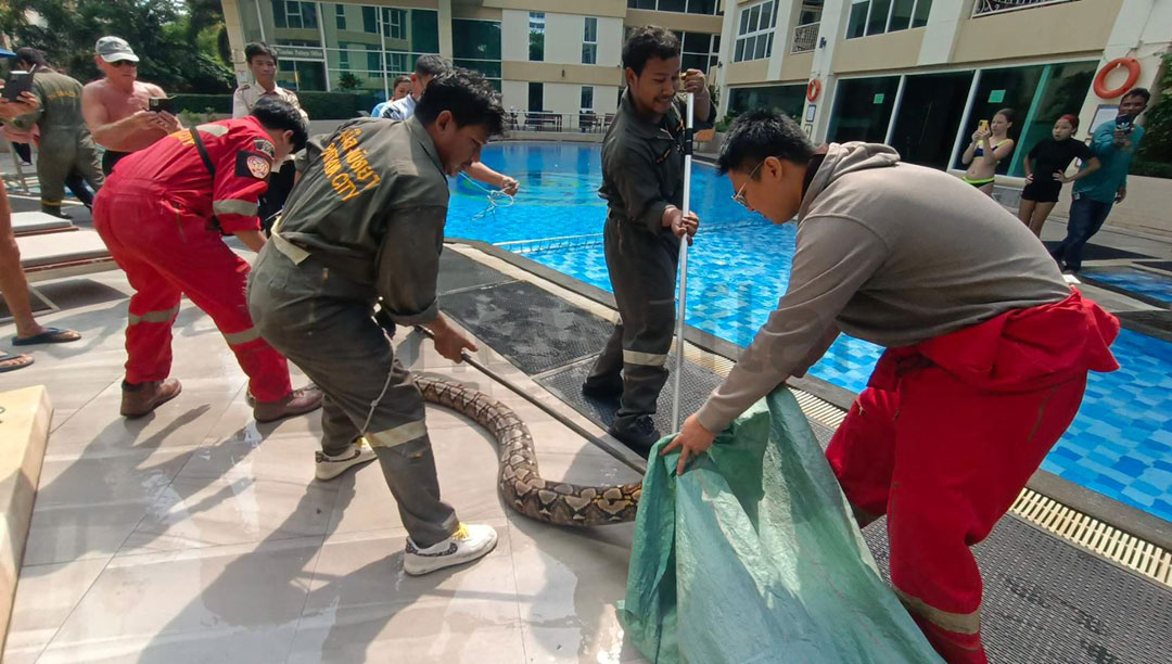 Người đàn ông tay không bắt sống quái thú dài 6m ẩn nấp trong nhà vệ sinh-2