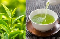 Những người nên uống nước chè xanh thường xuyên