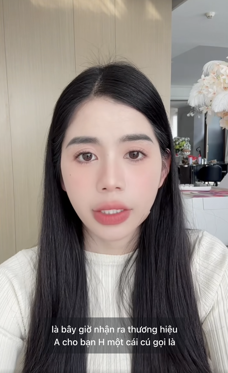 Lộ mặt thế lực đứng sau kênh TikTok tố Võ Hà Linh, Nhật Kim Anh, Hằng Du Mục, cuộc chiến pháp lý bước vào giai đoạn căng thẳng?-4
