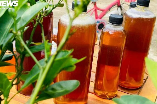 Phân biệt yến thật - giả đơn giản và chính xác nhất-2