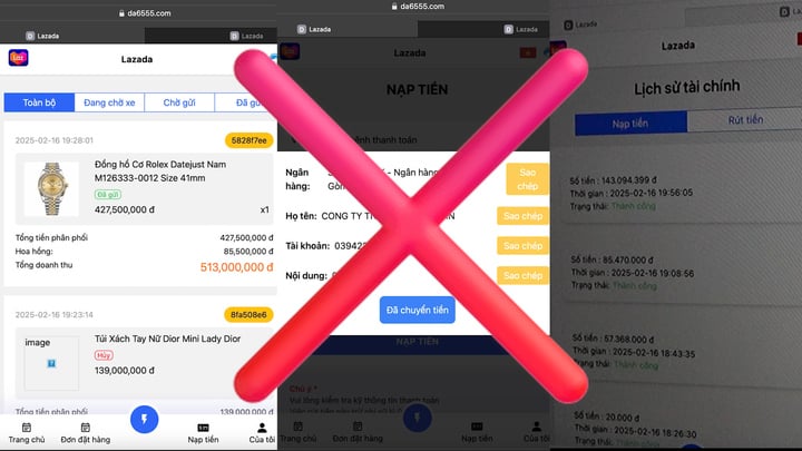 Sàn thương mại điện tử dỏm lừa tiền tỷ từ sinh viên đến bậc thầy kinh tế-2