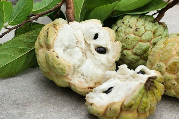 Liên tiếp điều trị cho 2 bệnh nhân đột quỵ, bác sĩ nói cả hai đều mắc chung sai lầm, phá nát mạch máu-4