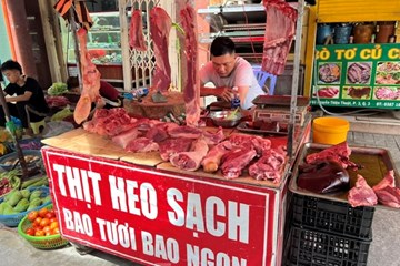 Lý do tiểu thương đồng loạt ‘treo’ cân, đóng sạp thịt lợn