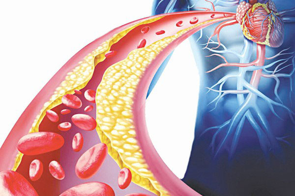 Muốn giảm mỡ bụng, đừng bỏ qua thói quen đi bộ buổi tối插图1 Muốn giảm mỡ bụng, đừng bỏ qua thói quen đi bộ buổi tối插图1