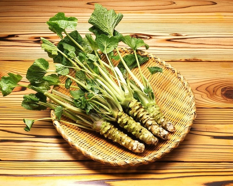 Lọai củ xấu ma chê quỷ hờn giá gần 6 triệu đồng/kg, đỏng đảnh khó trồng-1