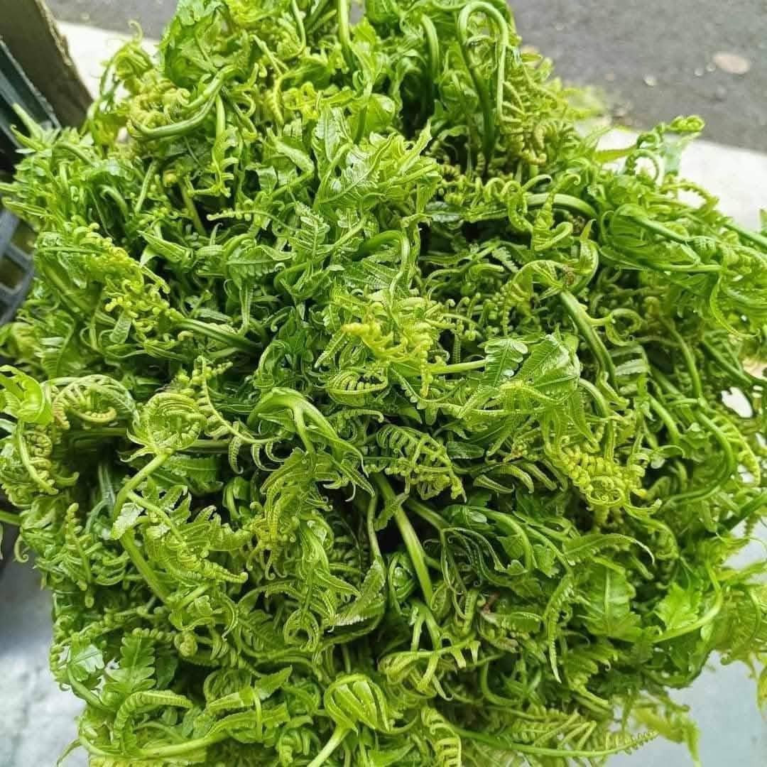 Đặc sản trời ban ở miền Bắc càng hái càng mọc, ăn ngon lại tốt cho sức khỏe-1