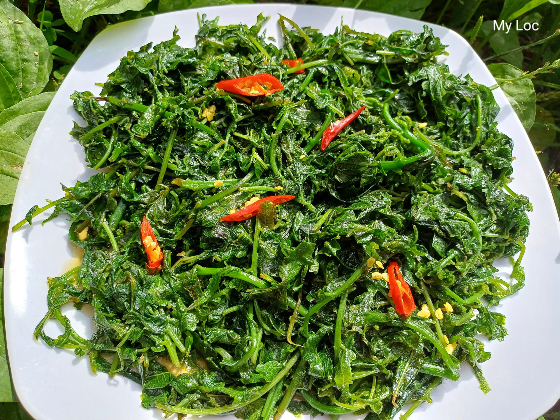 Đặc sản trời ban ở miền Bắc càng hái càng mọc, ăn ngon lại tốt cho sức khỏe-4